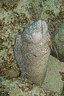 IMG_0434 copie.jpg
