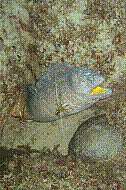 IMG_0435 copie.jpg