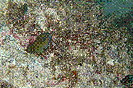 IMG_0436 copie.jpg