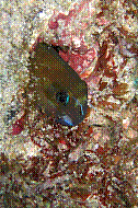 IMG_0437 copie.jpg