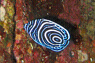IMG_0455 copie.jpg