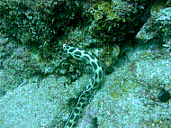 IMG_1275 copie.jpg