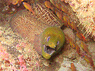 IMG_1306 copie.jpg