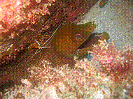 IMG_1329 copie.jpg