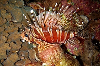 DSC00322 copie.jpg