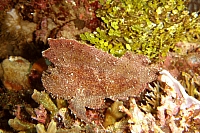DSC00326 copie.jpg