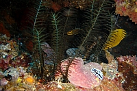 DSC00348 copie.jpg