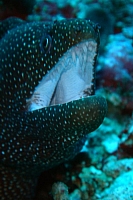 DSC00421 copie.jpg