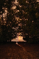 DSC00506 copie.jpg