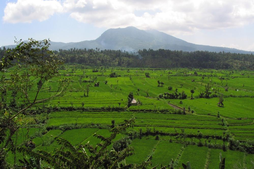 INDONESIE TULEMBEN (00).jpg