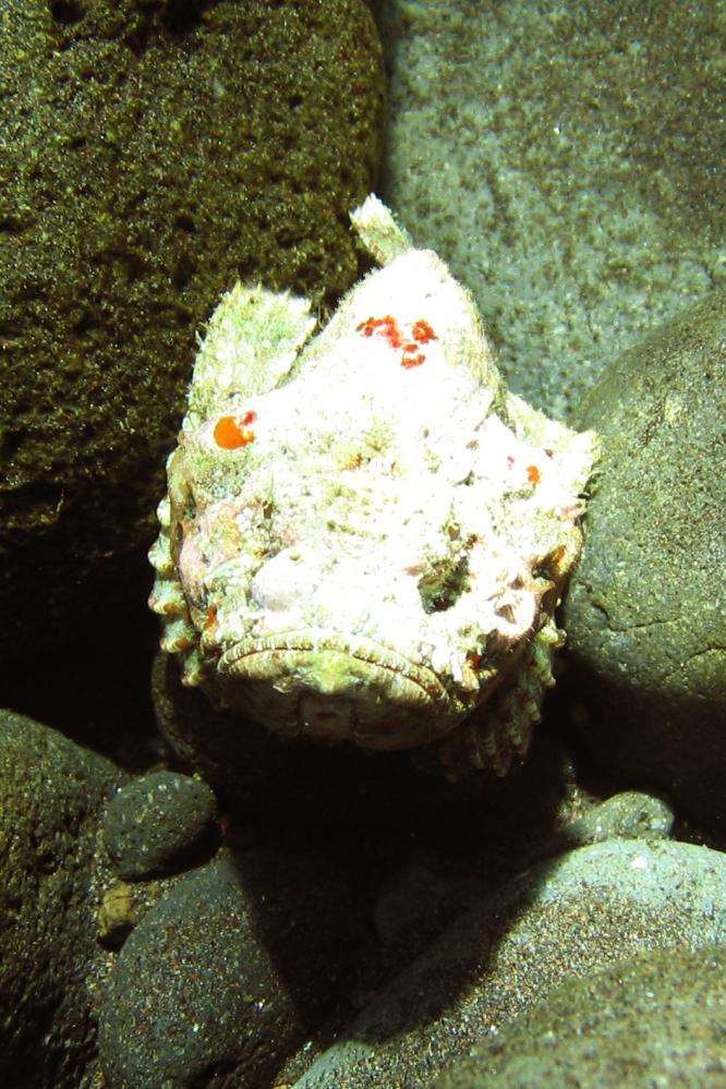 INDONESIE TULEMBEN (16).jpg