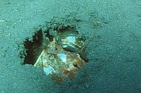 INDONESIE TULEMBEN (15).jpg