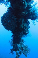 INDONESIE TULEMBEN (43).jpg