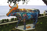 INDONESIE TULEMBEN (55).jpg