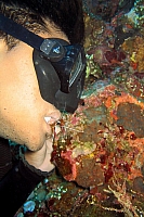 INDONESIE TULEMBEN (69A).jpg