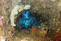 INDONESIE TULEMBEN (76A).jpg
