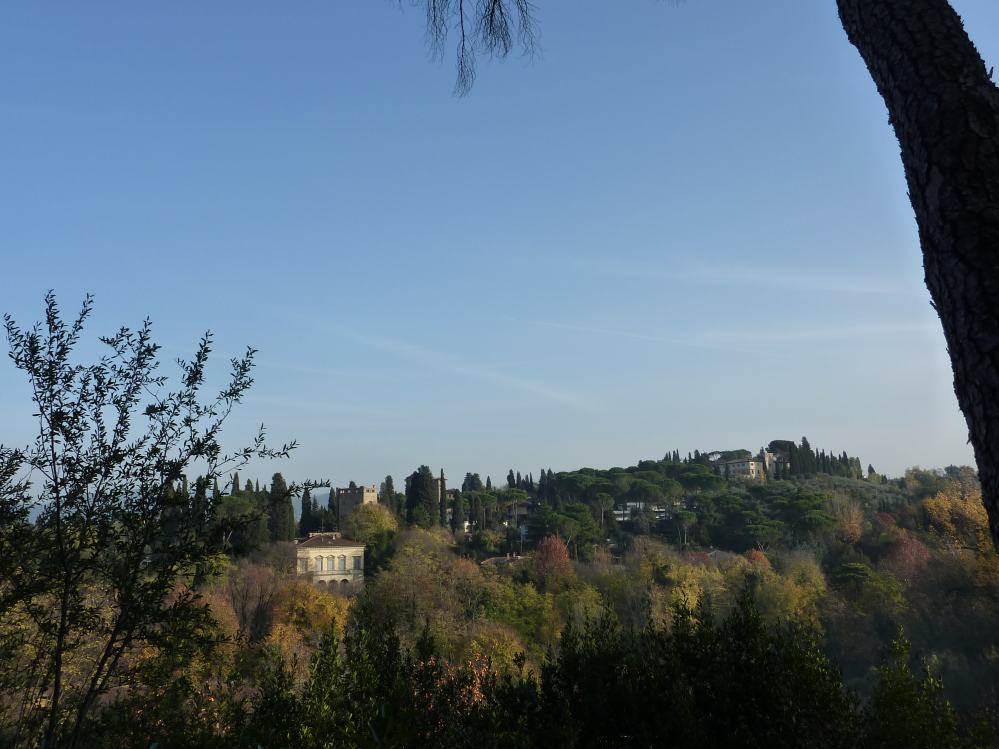 FLORENCE Ballade sur de l'Arno (1).JPG