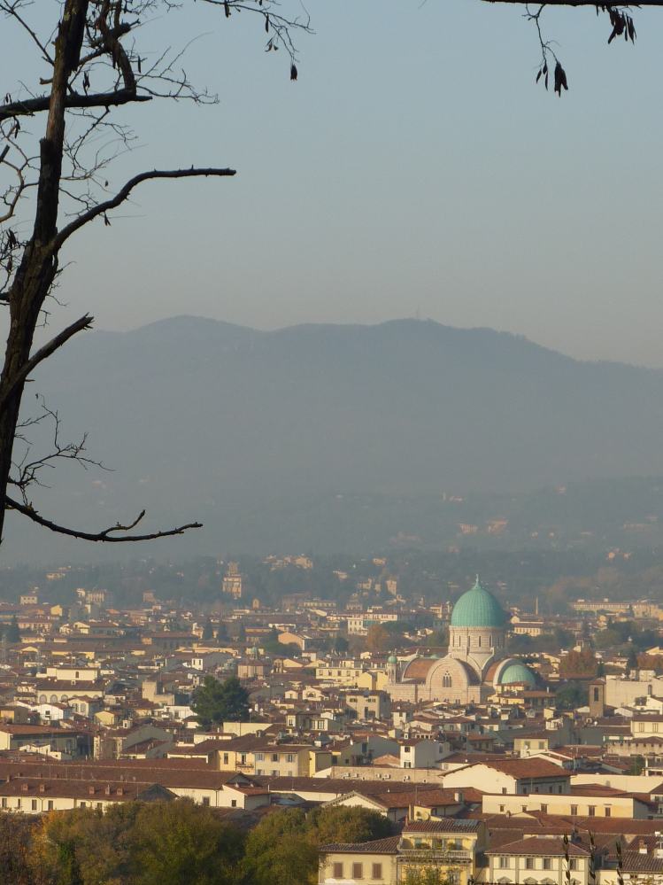 FLORENCE Ballade sur de l'Arno (4).JPG