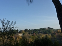 FLORENCE Ballade sur de l'Arno (1).JPG