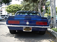DSC04203.JPG