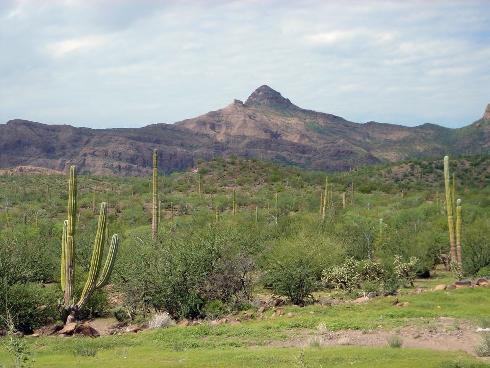 DSC02017.JPG