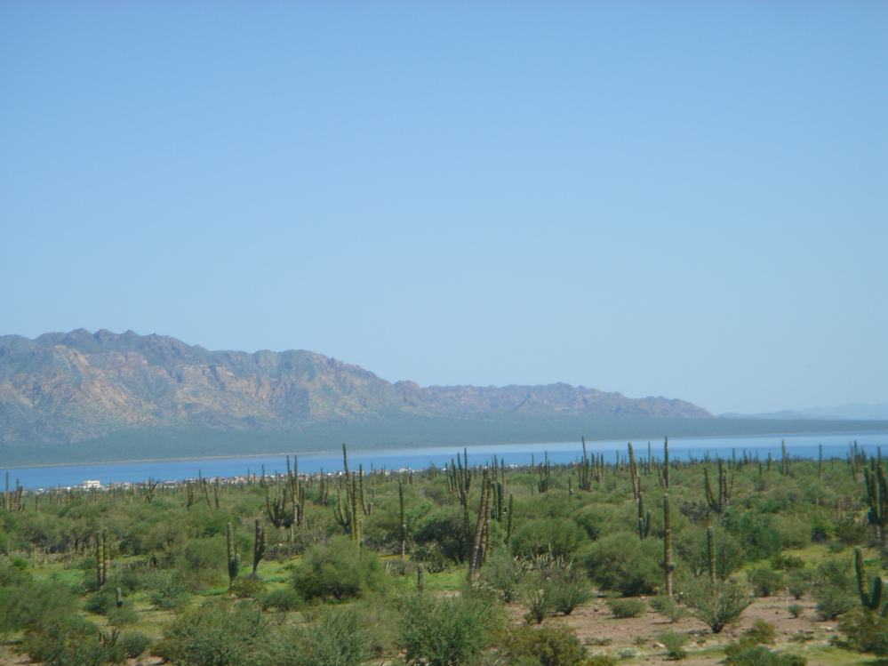 DSC02019.JPG