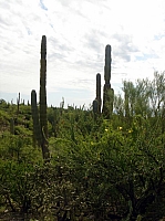 DSC02005.JPG