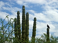 DSC02010.JPG
