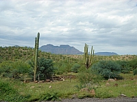 DSC02013.JPG