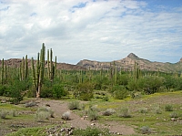 DSC02014.JPG