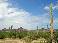 DSC02016.JPG