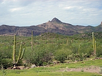 DSC02017.JPG