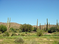 DSC02018.JPG