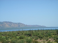 DSC02019.JPG