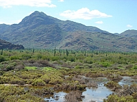 DSC02021.JPG
