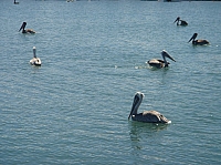 DSC02273.JPG