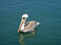 DSC02276.JPG