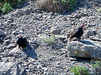DSC02305.JPG