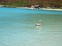 DSC02475.JPG