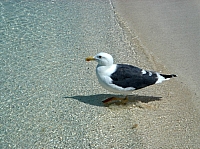 DSC02479.JPG
