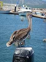 DSC02513.JPG
