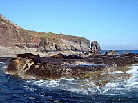 DSC02045.JPG