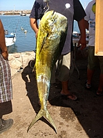 DSC02405.JPG