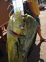 DSC02408.JPG