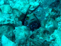 DSC02333.JPG