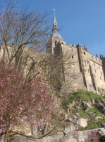 DSC08630.JPG