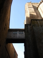 DSC08634.JPG
