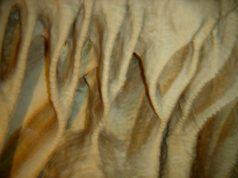 DSC01340 copie.JPG