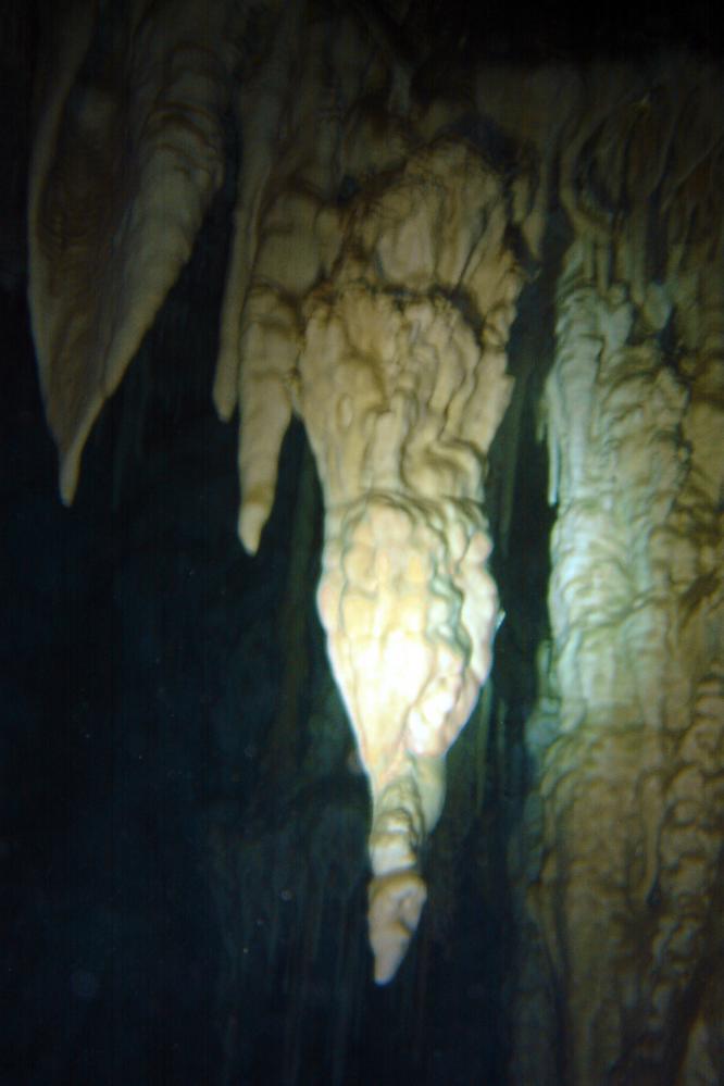 DSC01346 copie.JPG