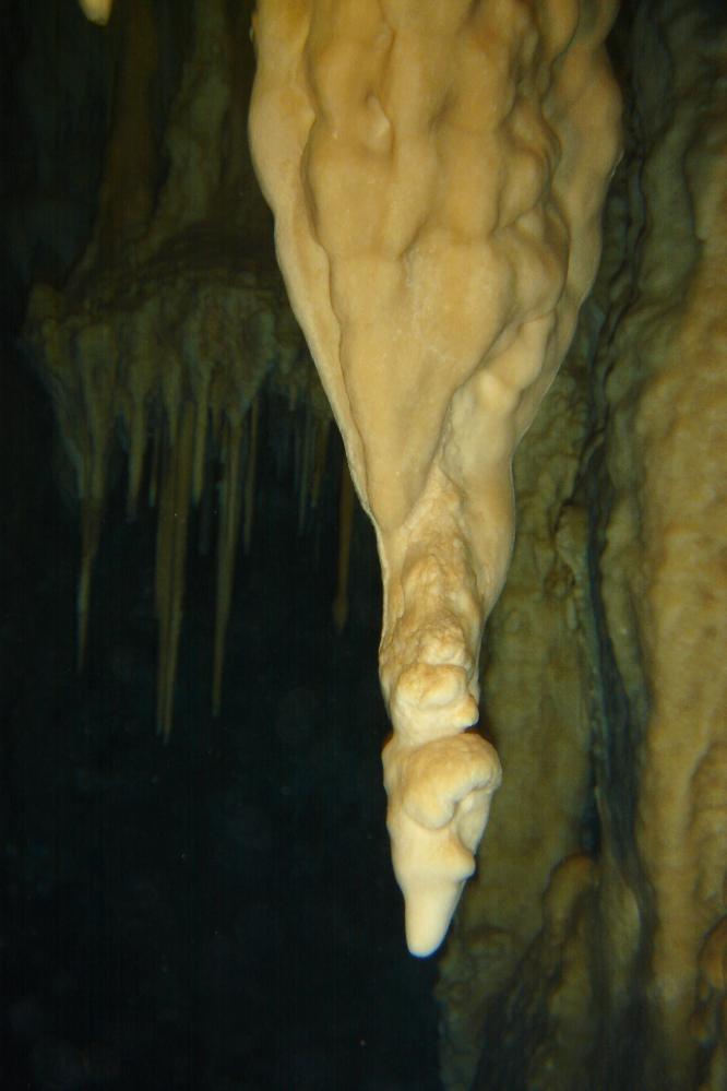 DSC01347 copie.JPG